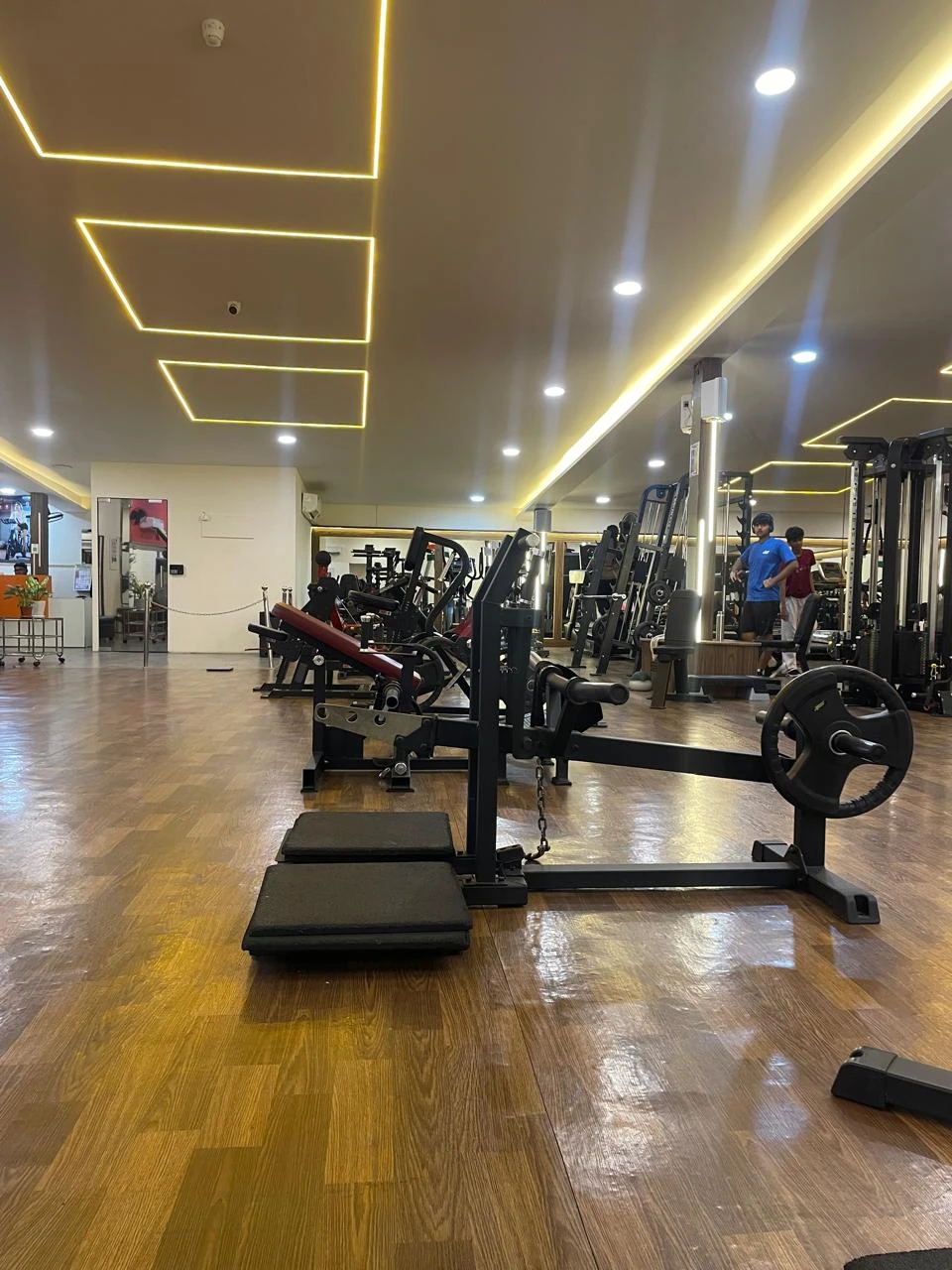 Plate loaded strength machines